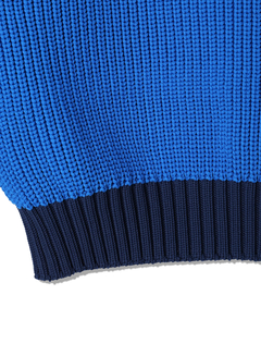 DENHAM(デンハム) |BICOLOR KNIT