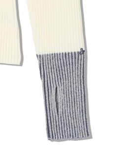 DENHAM(デンハム) |BICOLOR RIB KNIT