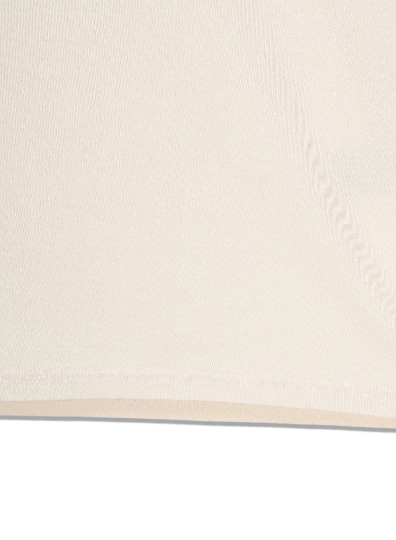 DENHAM(デンハム) |DENHAM SOUNDS LS TEE HCJ