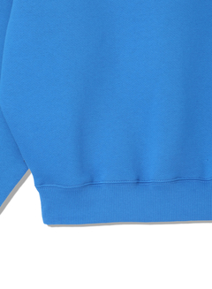 DENHAM(デンハム) |HIKARI GRAPHIC SWEAT HLS